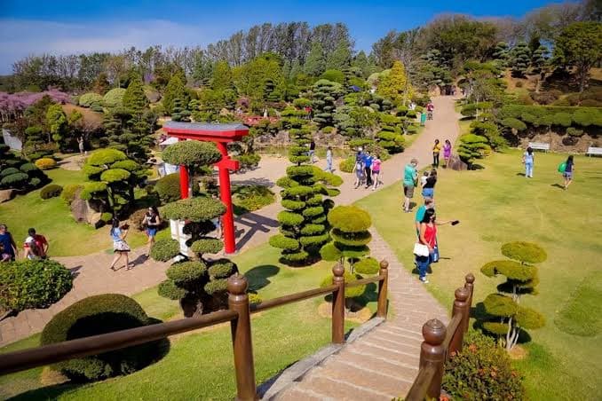Parque Maeda - foto 3