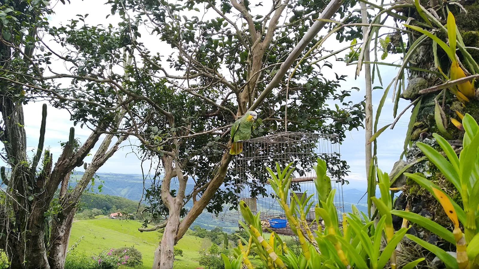 Vista Gigante deitado - foto 10