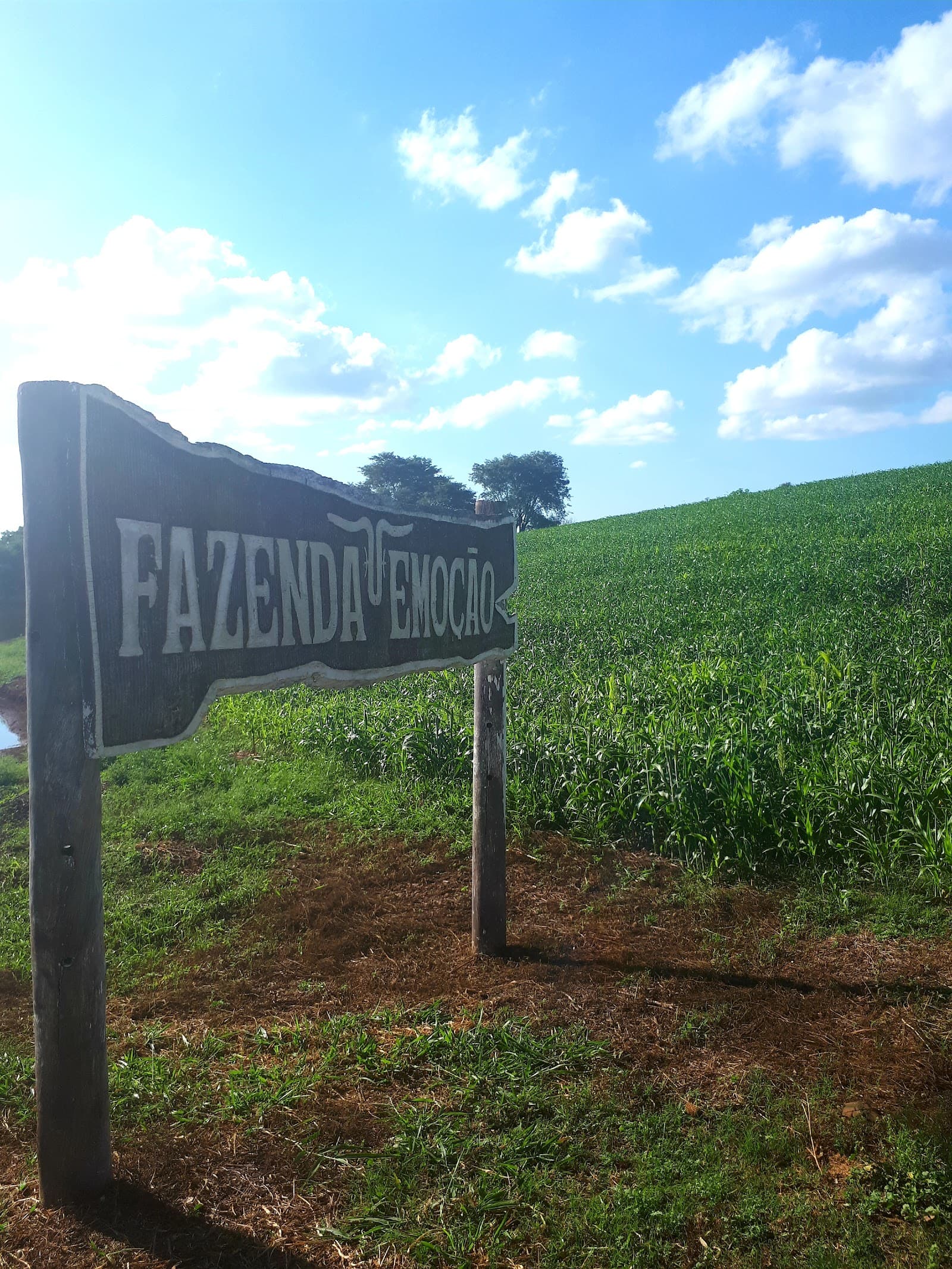 Fazenda Emoção