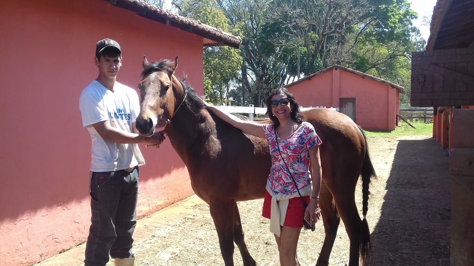 Fazenda Emoção - foto 7