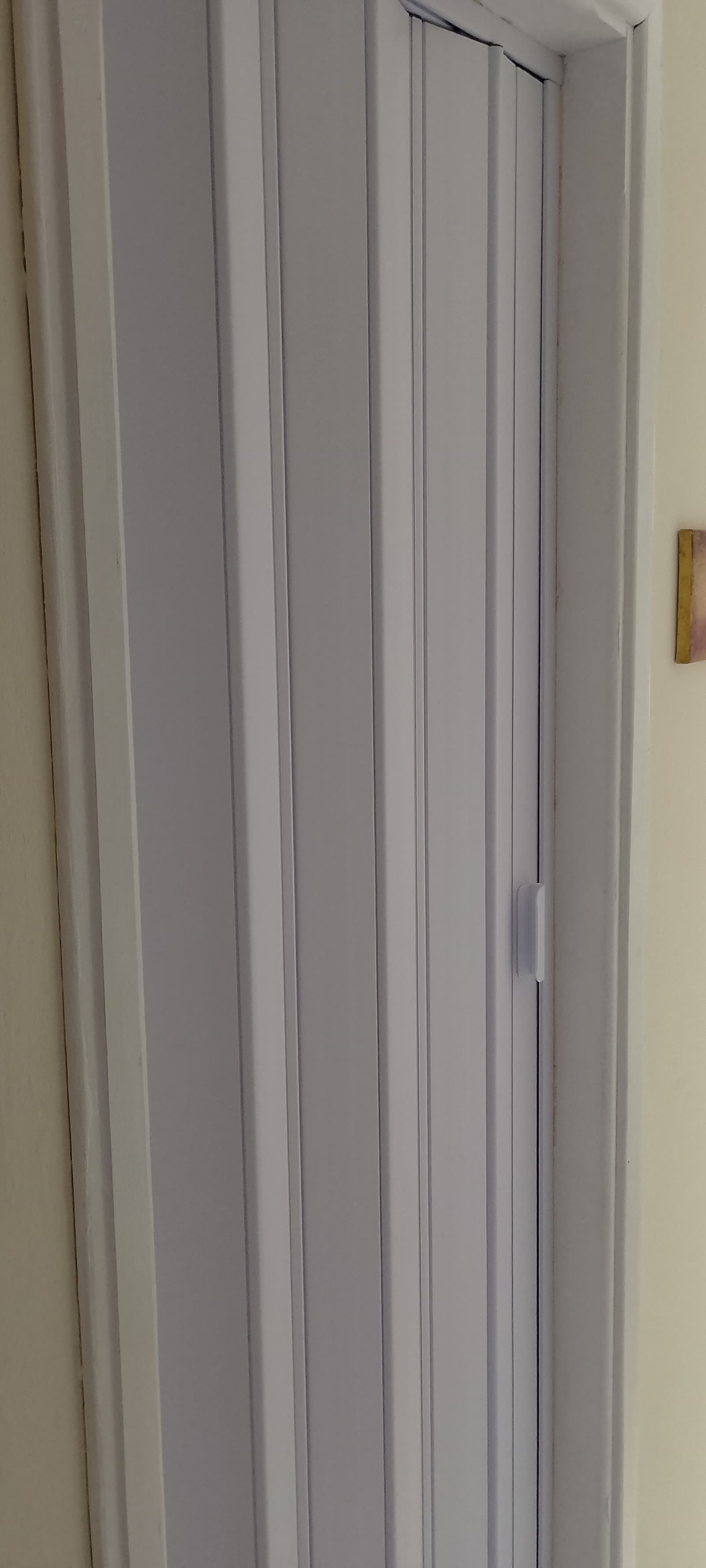 O Carpetão Decorações