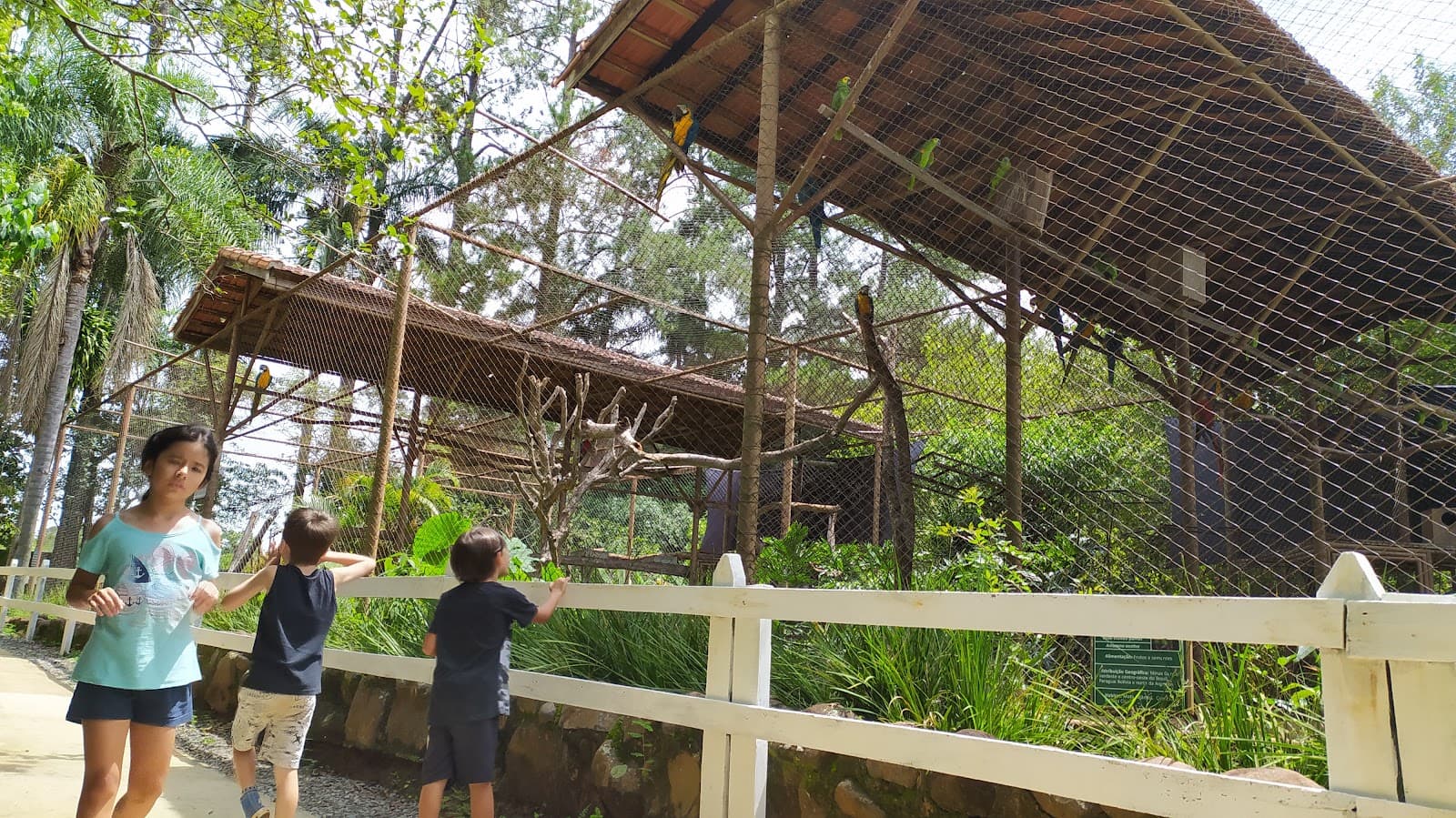 Parque Ecológico Eugênio Walter - foto 4