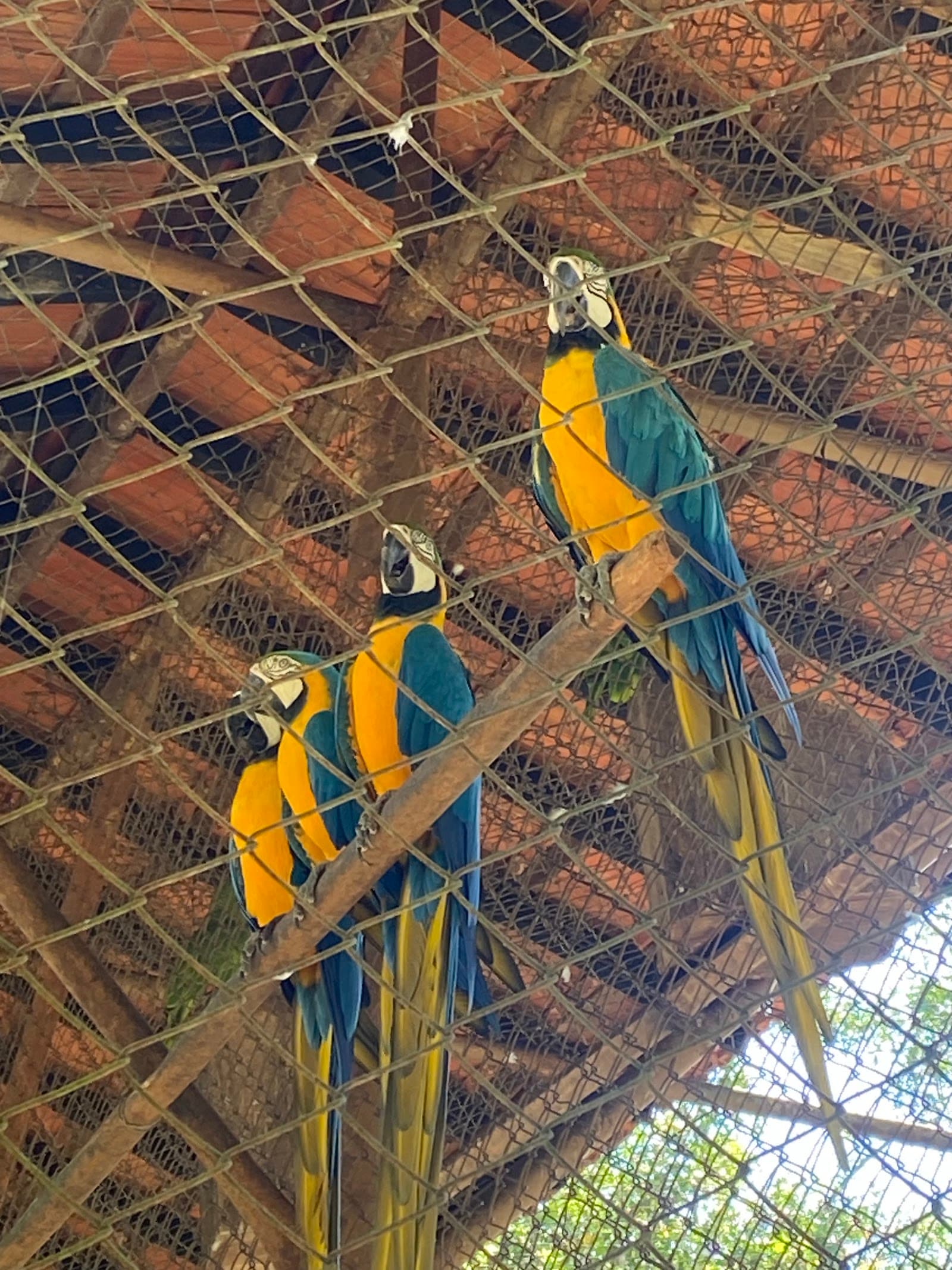 Parque Ecológico Eugênio Walter - foto 5