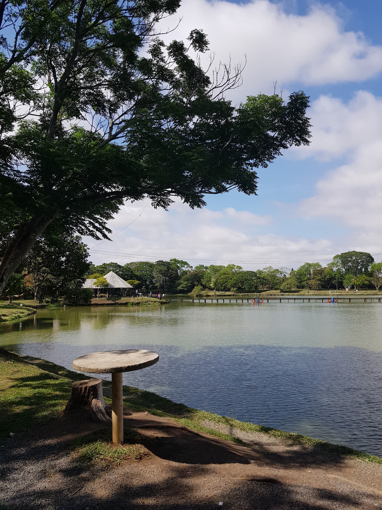 Fishing Park - foto 9