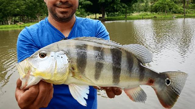 3 Irmãos Pesca e Lazer - foto 1