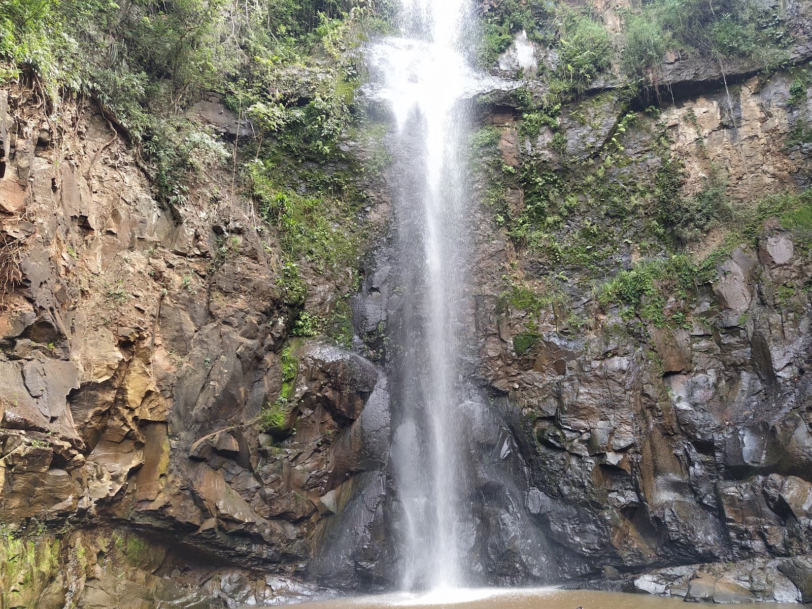 Parque Natural Municipal Cachoeira da Marta - foto 1