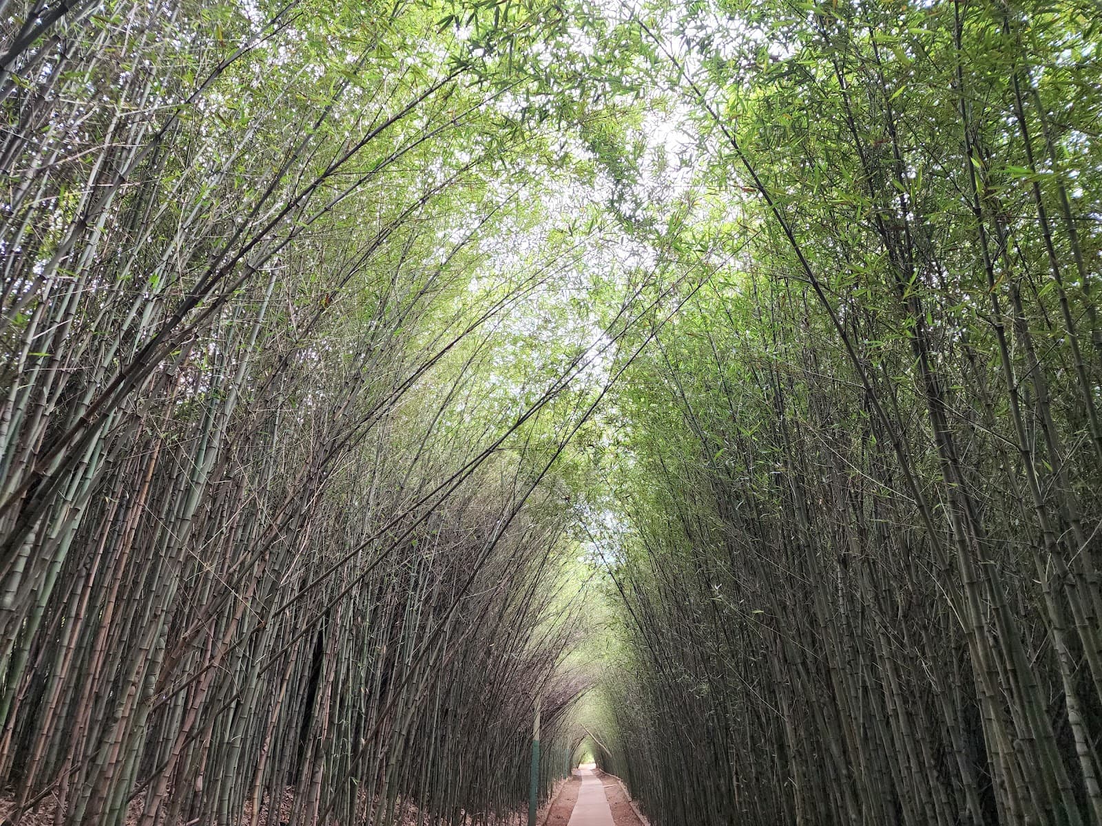 Parque Ecológico Eugênio Walter