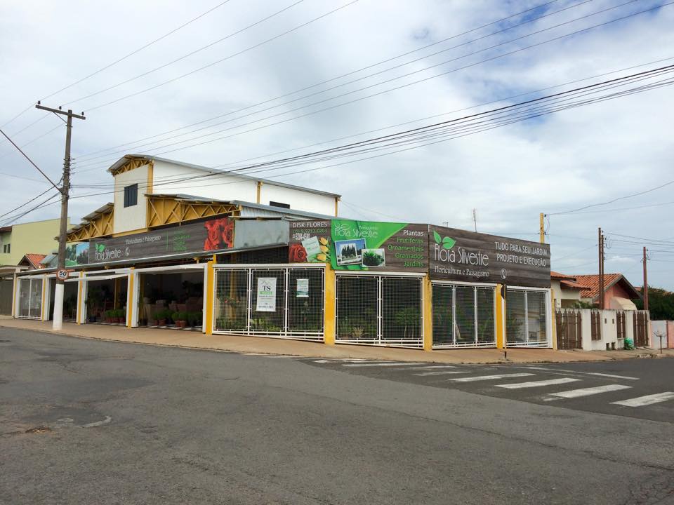 Floricultura Flora Silvestre